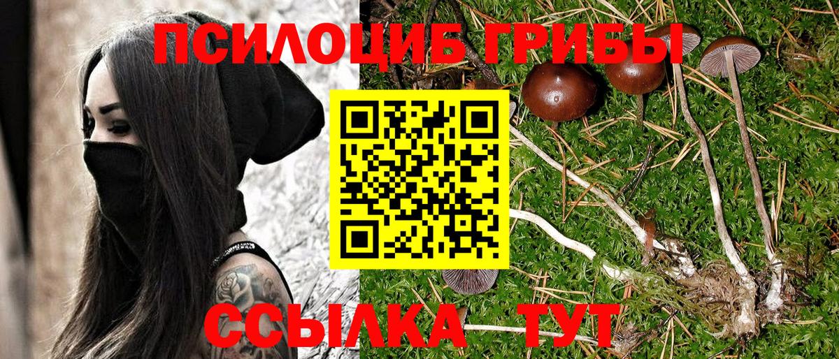Галлюциногенные грибы MAGIC MUSHROOMS Отрадное