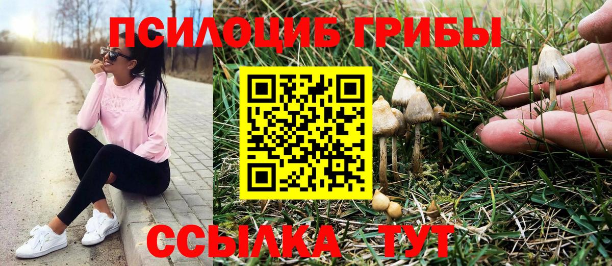 Отрадное  Псилоцибиновые грибы MAGIC MUSHROOMS  Вход с VPN 